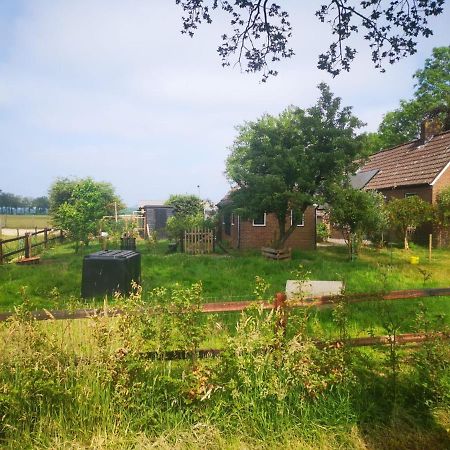 Trekkershut - Tiny House - Hikers Cottage Wijster エクステリア 写真