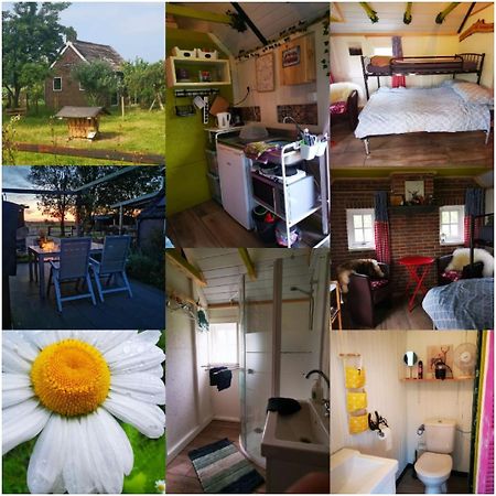 Trekkershut - Tiny House - Hikers Cottage Wijster エクステリア 写真