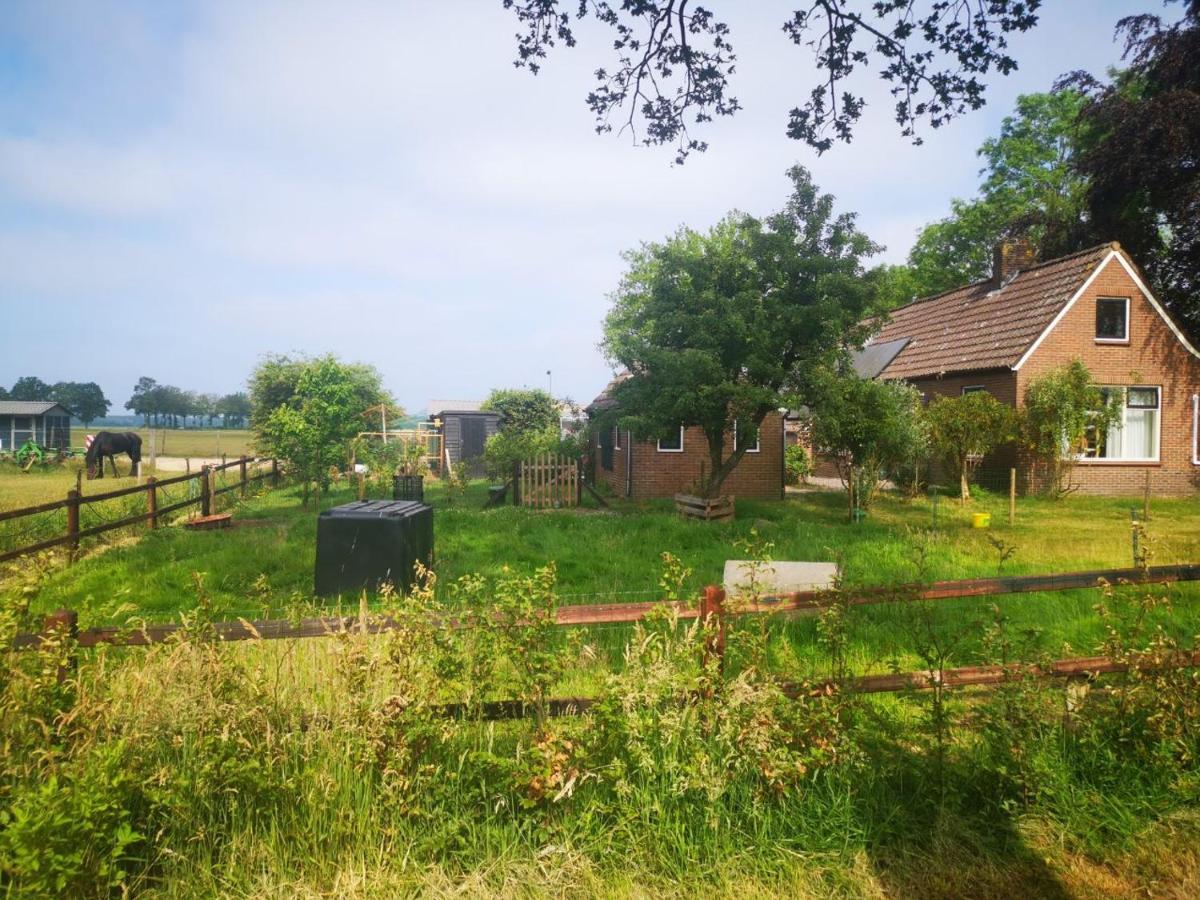 Trekkershut - Tiny House - Hikers Cottage Wijster エクステリア 写真