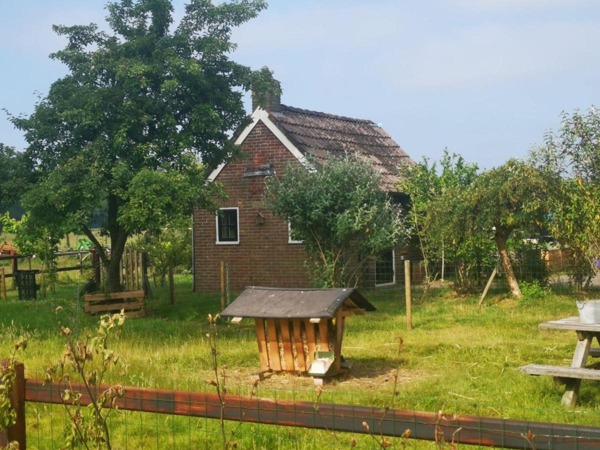 Trekkershut - Tiny House - Hikers Cottage Wijster エクステリア 写真