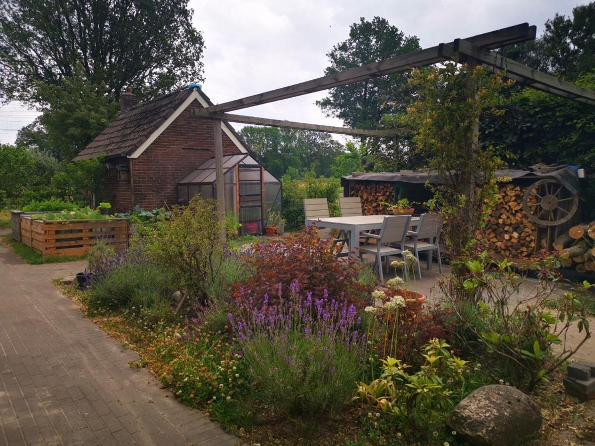 Trekkershut - Tiny House - Hikers Cottage Wijster エクステリア 写真