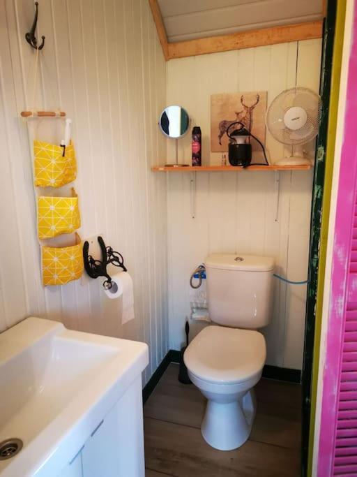 Trekkershut - Tiny House - Hikers Cottage Wijster エクステリア 写真