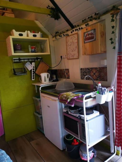 Trekkershut - Tiny House - Hikers Cottage Wijster エクステリア 写真