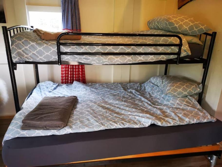 Trekkershut - Tiny House - Hikers Cottage Wijster エクステリア 写真